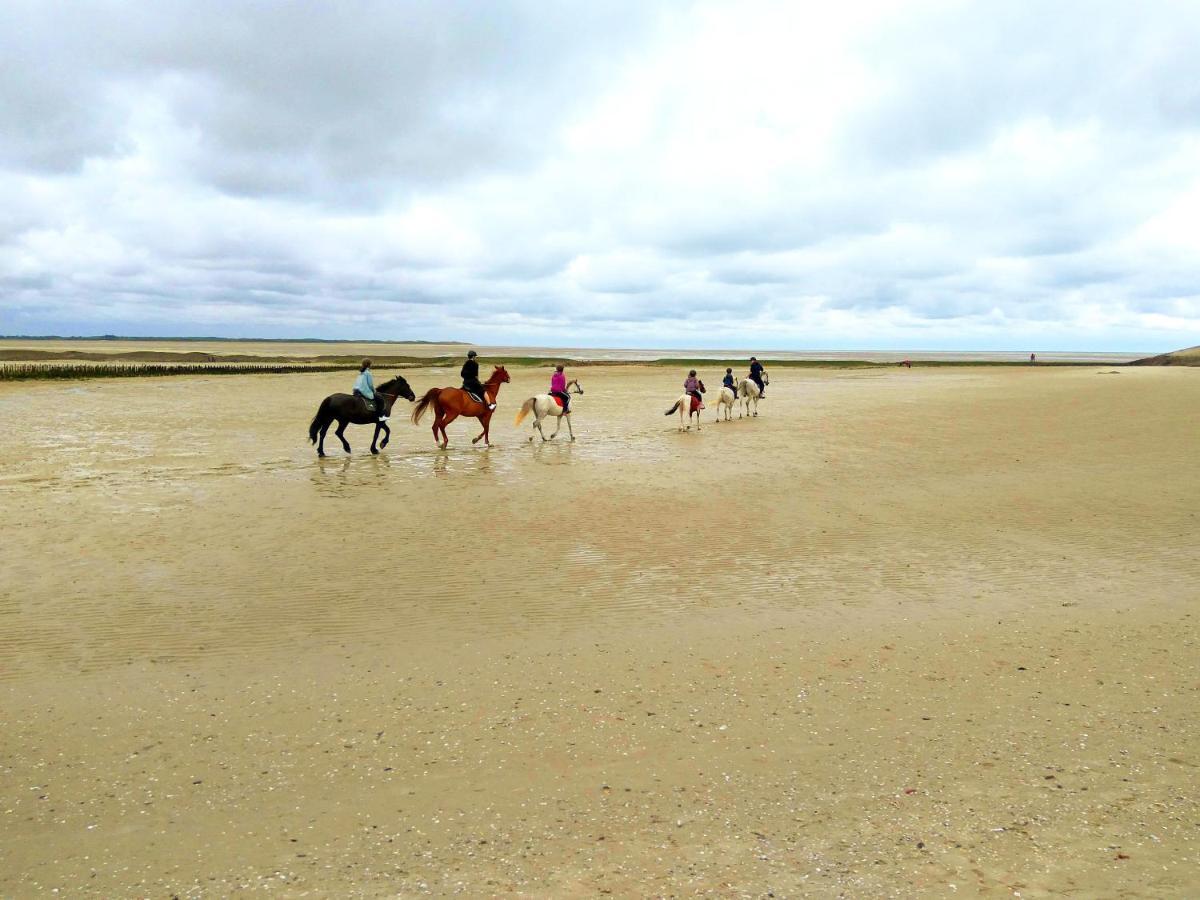 Maison Proche Des Immenses Plages De Berck Sur Mer A 1,8Km Des Plages Exteriér fotografie